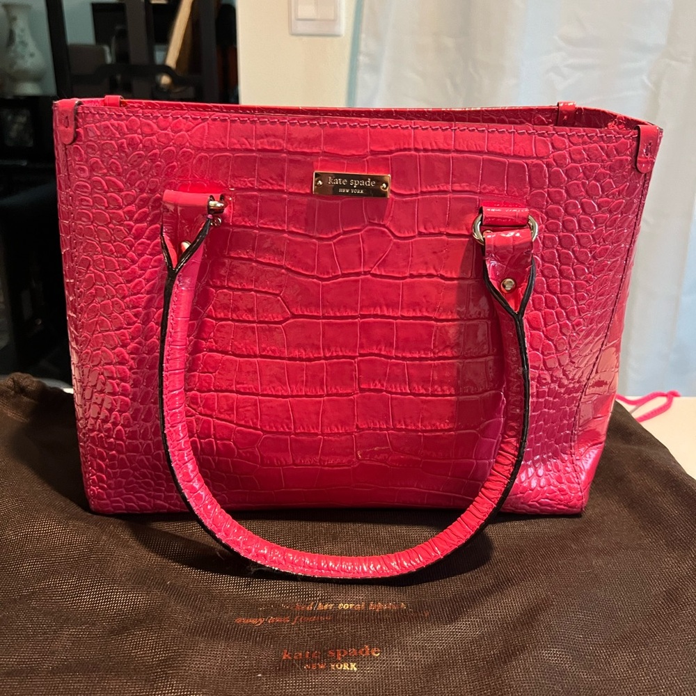 Beautiful Late space bag. Only used it couple of times.